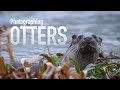 Finding and Photographing Otters in Oxfordshire - Wildlife Photography