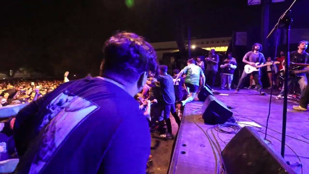 Fiddlehead - Lay Low