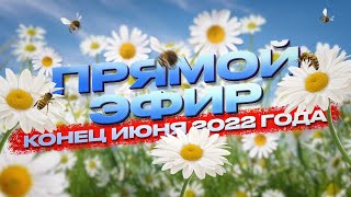 Прямой эфир - Конец июня 2022