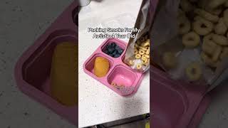 Snacks for Autistic 4-year-old (DIY Lunchable For Kids)
