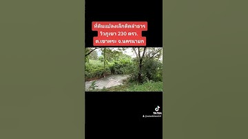 ขายที่ดินแปลงเล็กติดลำธาร#ที่ดินนครนายก 230ตรว 2.1 ลบ.#ที่ดินราคาเจ้าของ #บ้านสวน #ที่ดินแบ่งขาย