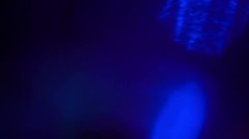 Colored Lights Flashing At Night Stock Video