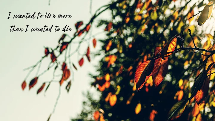 A collection of quotes by Sharon E. Rainey in Maki...