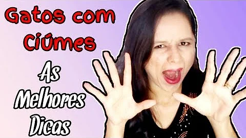 O que fazer quando o gato está com ciúme?