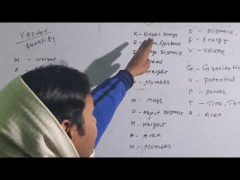 Vector & scalar