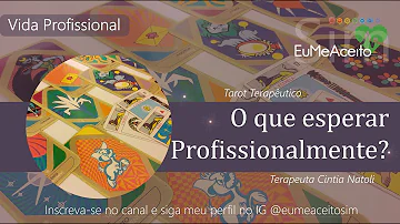 O que você pretende alcançar na sua vida profissional?