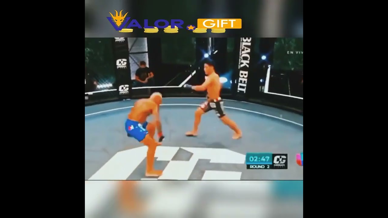 Knockouts Best Match 