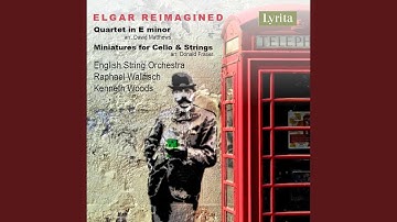 String Quartet in E Minor, Op. 83: I. Allegro moderato (Arr. D. Matthews for String Orchestra)