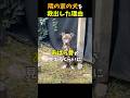 隣の家の犬を救出した理由 #感動する話 #泣ける話 #shorts