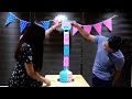 Bheik's Fudstuff Gender Reveal Cake