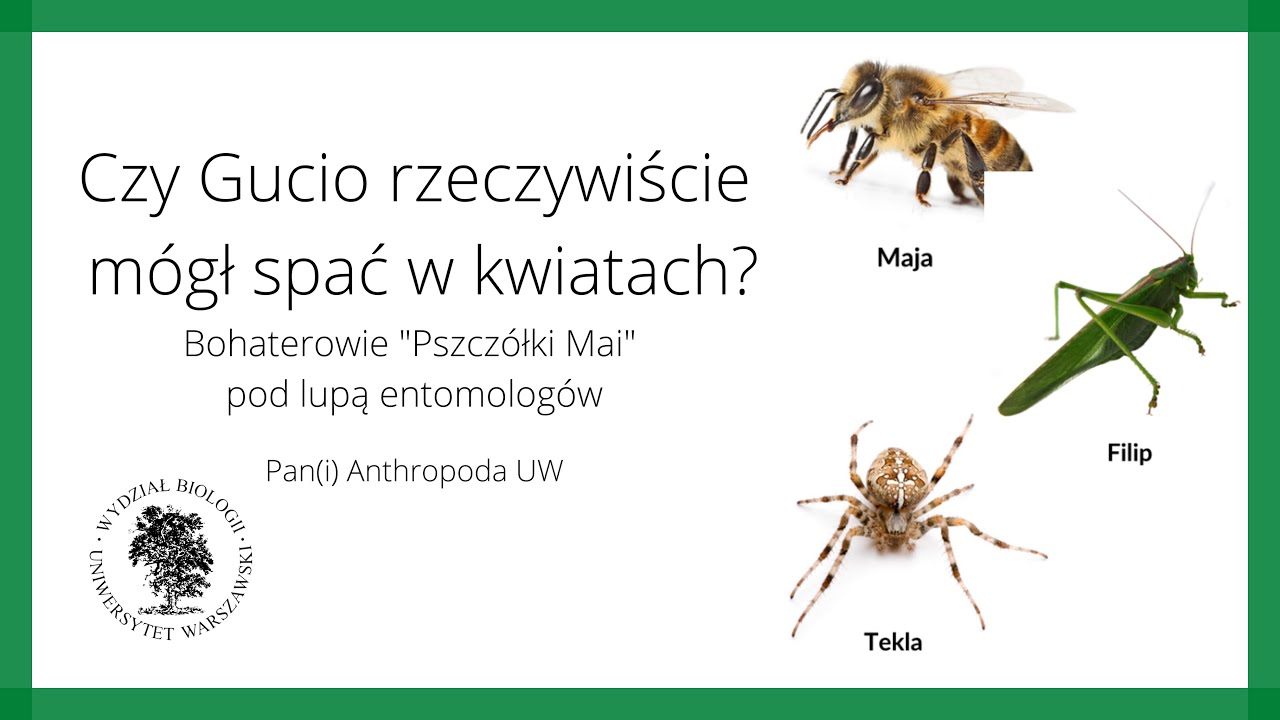 Czy Gucio rzeczywiście mógł spać w kwiatach? - Pan(i) Arthropoda UW