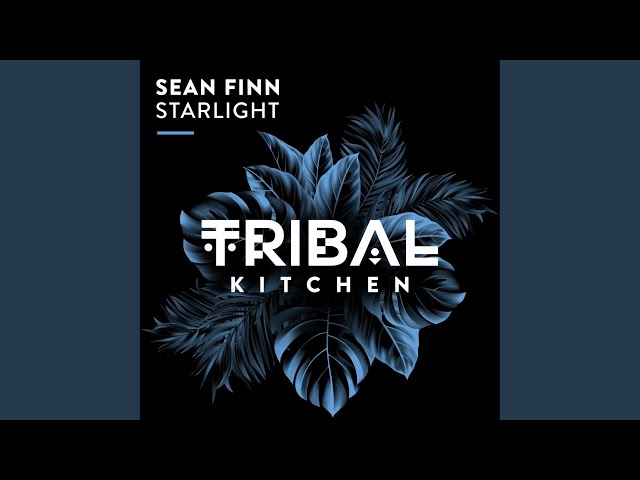 Sean Finn - Starlight