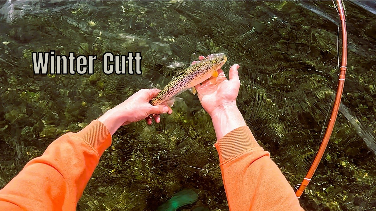 Fly Fishing Sea Run Cutthroat in Winter | Puget Sound