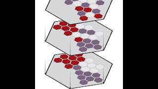 Foundational Spatial 'Omics Analysis| 02: Understanding your inputs and outputs