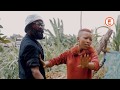 ZEE LA PEMBA LAZUA BALAA 