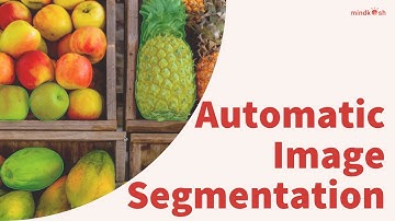 AI-assisted Semantic segmentation tool | Mindkosh AI