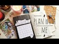 Plan with me November + October flip through| Ежедневник ноябрь