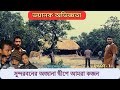 Sundarban tour  sundarban tour package  sundarban forest       