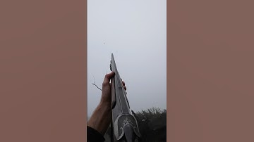 Duck Hunting from a Canoe with my favourite 12ga shotgun