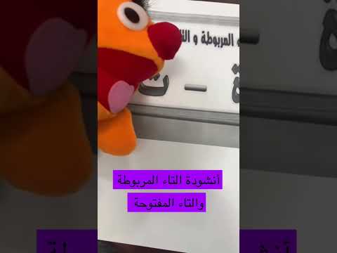 انشودة التاء المربوطة والتاء المفتوحة عبدالله حسن لغتي تعليم سمسم Algadapood