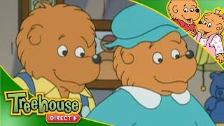The Berenstain Bears | Father's Day Compilation! | Funny Cartoons for Children By Treehouse Direct