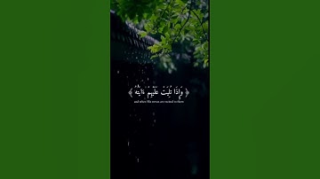 وإذا تليت عليهم زادتهم إيمانًا القارئ المنشاوي رحمه الله