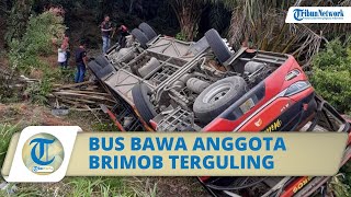 Bus yang Membawa Satu Pleton Anggota Brimob Terguling di Jambi, Polisi Ungkap Penyebab Kecelakaan