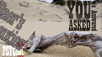 DRL & DRD discrimination