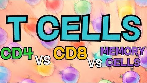 DIFFERENT TYPES OF T CELLS - CD4 VS CD8 VS MEMORY T CELLS