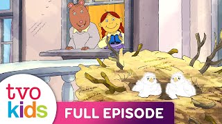 ARTHUR  Muffy's House Guests / Binky Can't Always Get What He Wants  Full Episode