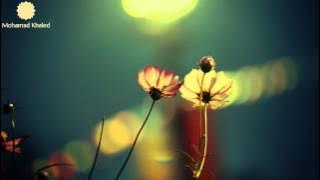 Maher Zain | Samih (Forgive) | 2014 | No Music | HD