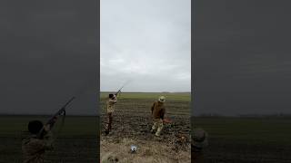 Стрельба по тарелкам🔫