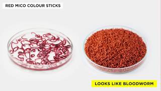 Super colour-enhancing food for fish - Tropical Red Mico Colour Sticks