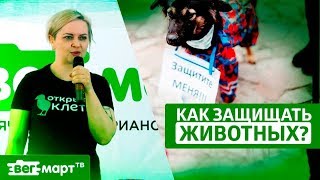 ⁣Защита животных. Как эффективный активизм помогает защищать животных? Зоозащитник Доброслава Гоглоза