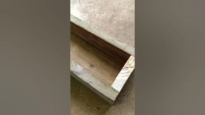 This is How we made Mini DIY RAISED GARDEN BED 🪴 #shorts #diy #garden #bed #gardening #tips #vlog