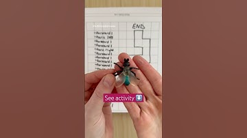 Unplugged activities require no technology to build computer science knowledge!