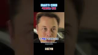 테슬라가 인재를 색출하는 방법