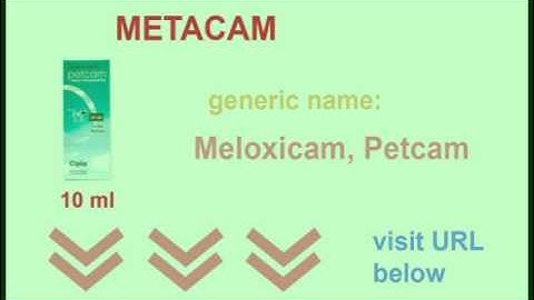 petcam meloxicam and reumatoide artritis.