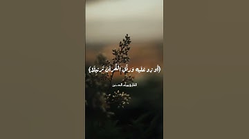 سورة المزمل || القارئ هيثم الدخين #هيثم_دخين