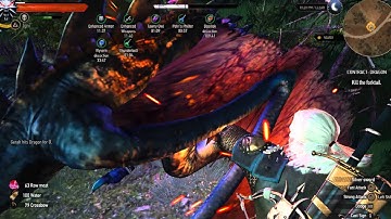 Witcher 3 - Contract: Dragon - Keep Mia the Sheep Alive