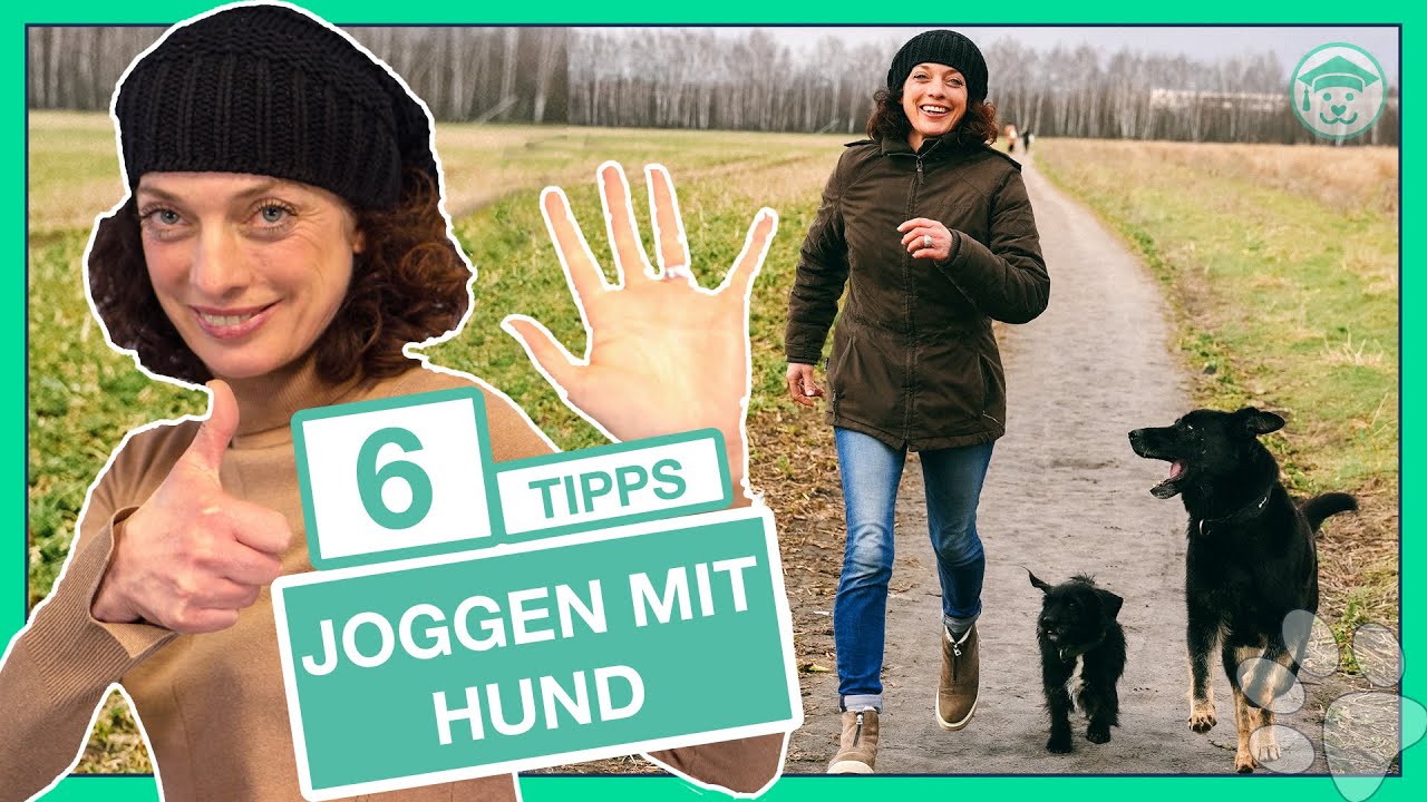 Joggen mit Hund? (Mit diesen 6 Tipps klappt es richtig)