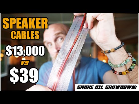 Exotic $13k Speaker
