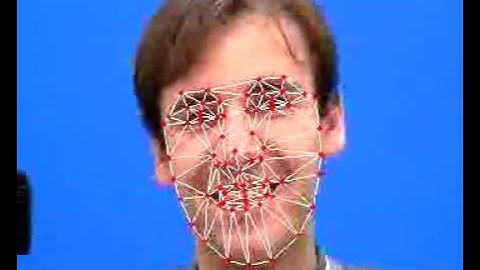 2D Inverse Compositional Image Alignment Active Appearance Model, a Personal Specific Video Demo