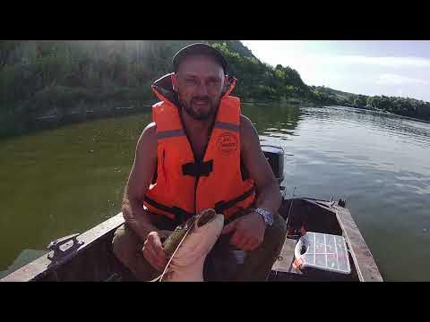 Троллинг на дону. Троллинг дон. Троллинг дон. Троллинг дон. Троллинг дон.