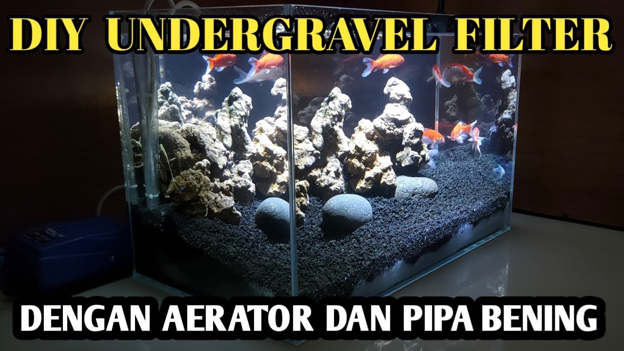 Cara membuat aquascape dengan undergravel filter DIY YouTube