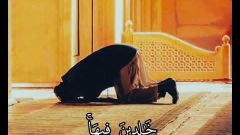 تلاوة خاشعة ما تيسر من سورة الفرقان، القارئ :أسامة أحمد حسن اليمني