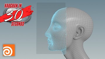 Houdini |Area Select Visible Geometry Only
