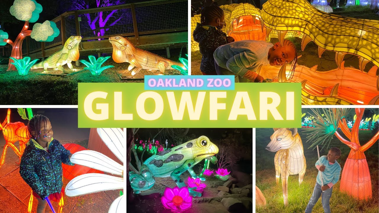 Oakland Zoo GLOWFARI 2022 || 