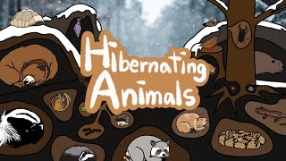 Hibernating Animals | What kind of Animals hibernate during the winter? | Kids Draw