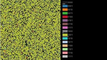Iterated prisoner dilemma in cellular automata